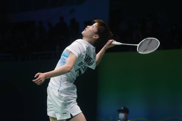 样化的方案 样化的方案