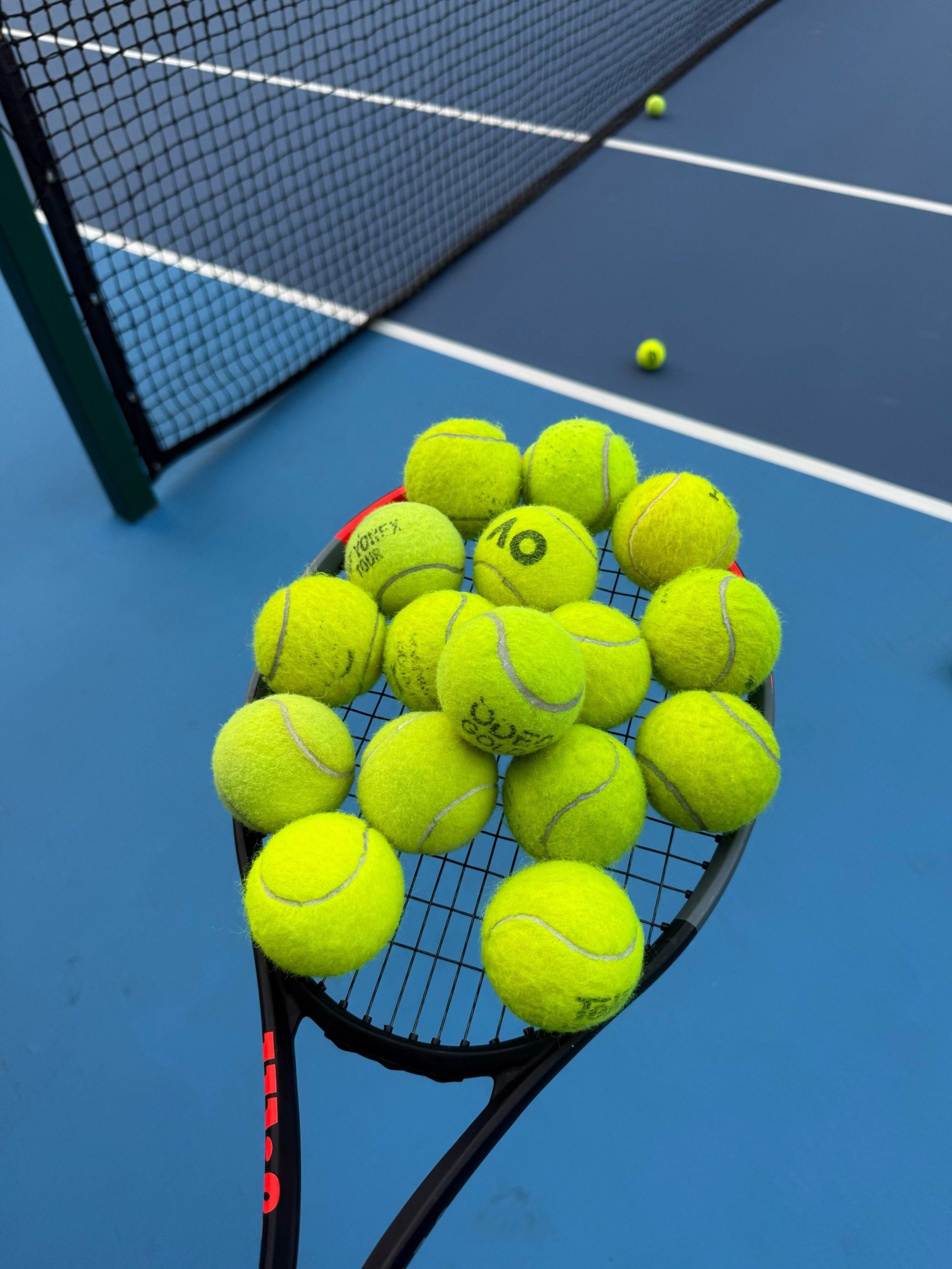 综合体育发 综合体育发